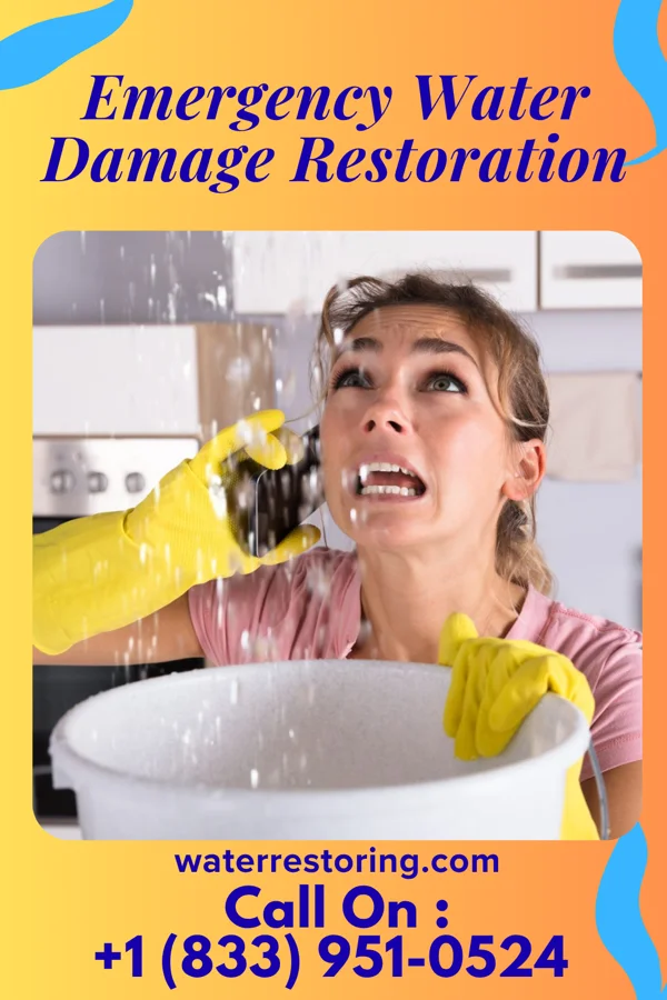 Emergency Water Damage Restoration in Kenneth City, FL
