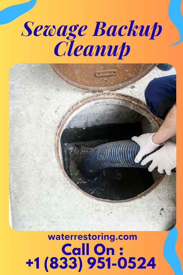 Sewage Backup Cleanup in Kenneth City, FL